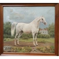 Rustan - koń czystej krwi arabskiej - olej/płótno - Erich Nikutowski 1901 r.